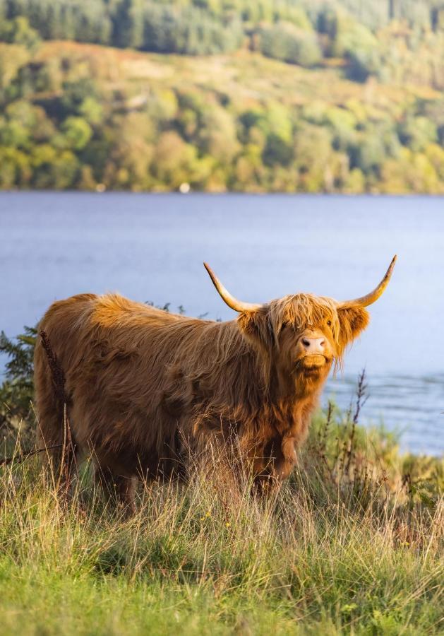 Loch Ness Cottage Форт Аугустус Экстерьер фото